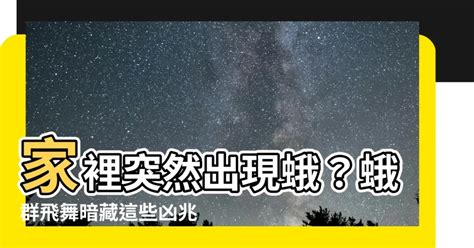 家裡突然出現很多蛾|【蛾蠓/ 蛾蚋天敵】3招減蛾蠓/ 蛾蚋繁殖機會 教你蛾蚋。